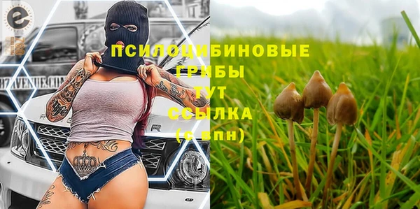 дмт Володарск