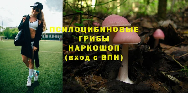 дмт Володарск