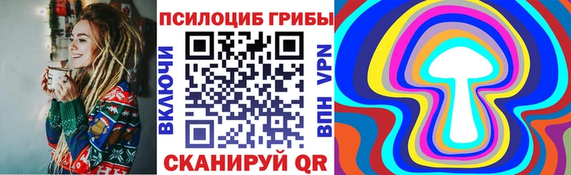 мориарти телеграм  Тамбов  Псилоцибиновые грибы Magic Shrooms  цены наркотик 